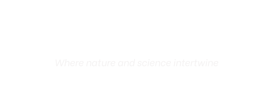 The Body Bakery